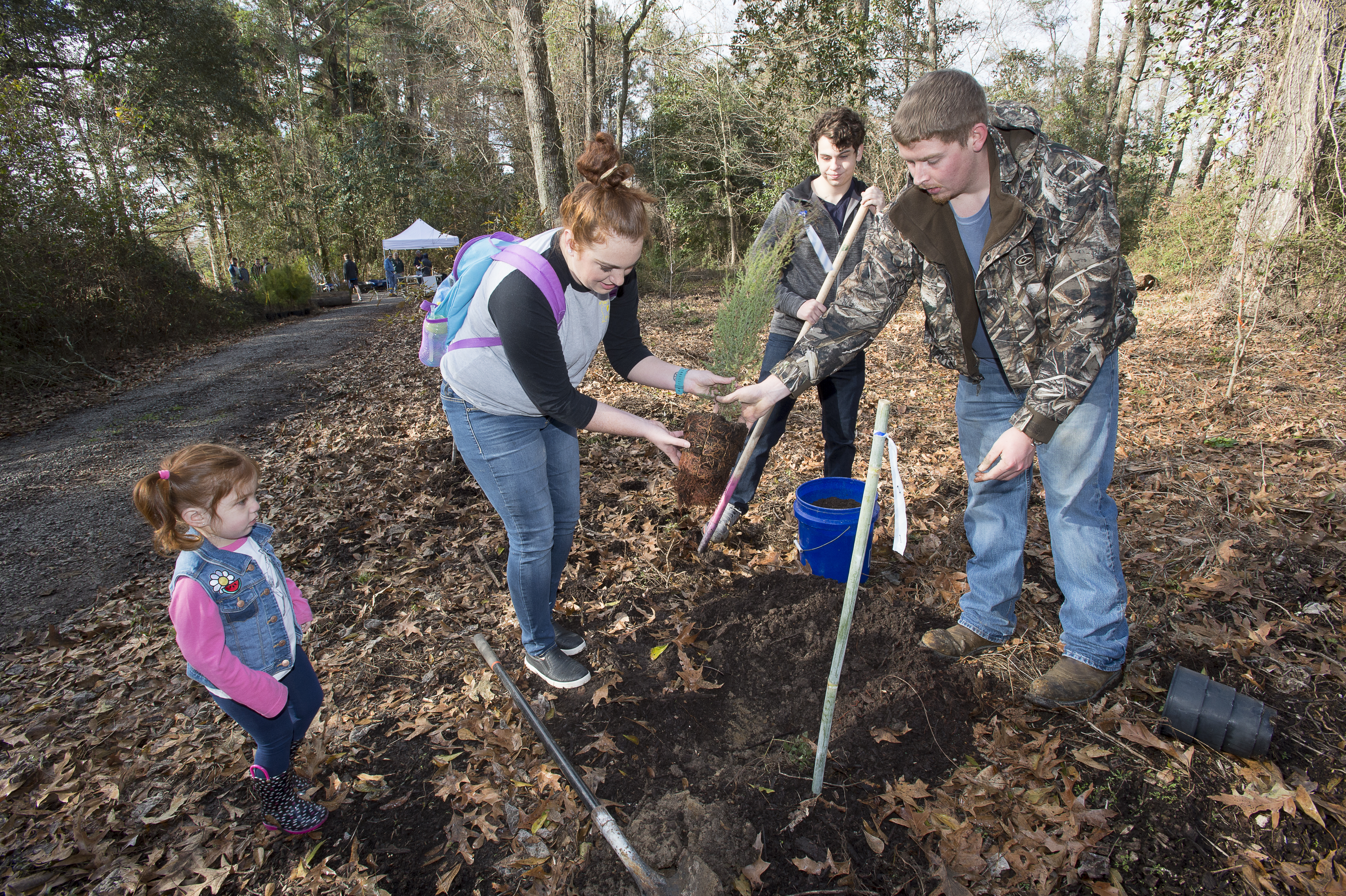 Select the right tree for your landscape 